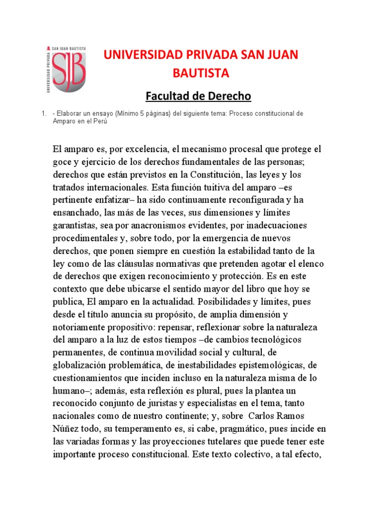 El Amparo Constitucional en Perú | PDF | Caso de ley | Ley constitucional