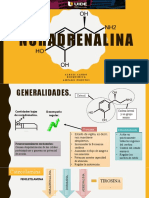 Noradrenalina: generalidades, función y receptores