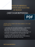Metamorphis M