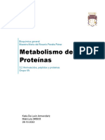 MetabolismoProteínas KatiaDeLeon 348933