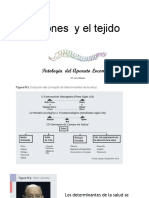 Lesiones y El Tejido (Heridas, Luxaciones)