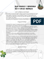 Características Generales e Importancia Biológica y Especies Endémicas