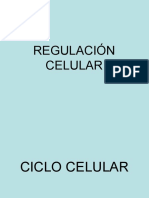 Regulación Celular