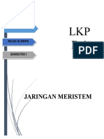 JARINGAN MERISTEM