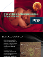 Fecundacion Alteraciónes