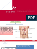 Semana 12