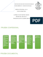 Pruebas Derecho Procesal