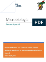 Examen 4 Parcial