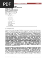 Programa Ingls Pampillo 2017