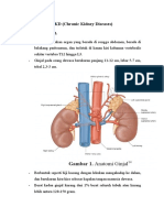 CKD 1