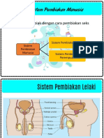 4.2 Sistem Pembiakan Manusia