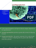 12 - Animal Reproduction