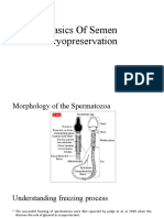 Basics of Semen Cryopreservation