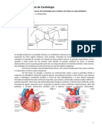 Anatomia Cardíaca