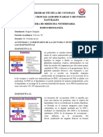 Endocrinologia Diapositivas