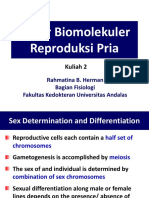 Kuliah 2. Dasar Biomolekuler Reproduksi Pria
