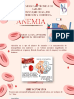 Fisiopatologia Anemia