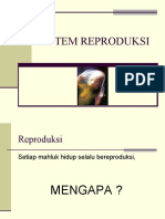 Sistem Reproduksi Pada Manusia (Presentasi)