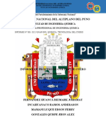 Informe de Proceso de Curtido de Cuero 1.1