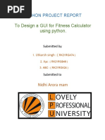 Python Project Report