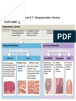 Assignment # 5: Integumentary System Explore: 1