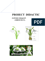 Proiect Didactic Activitate Integrată DLC DȘ