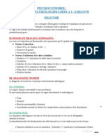 Pneumoconiose - Silicose - 6 Eme Annne Mdecine DR Grioui - Copie
