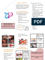 Leaflet IMS