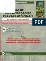 Guia de Identificação de Plantas Medicinais