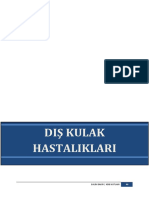 Diş Kulak Hastaliklari