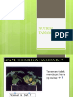 Nutrisi Tanaman