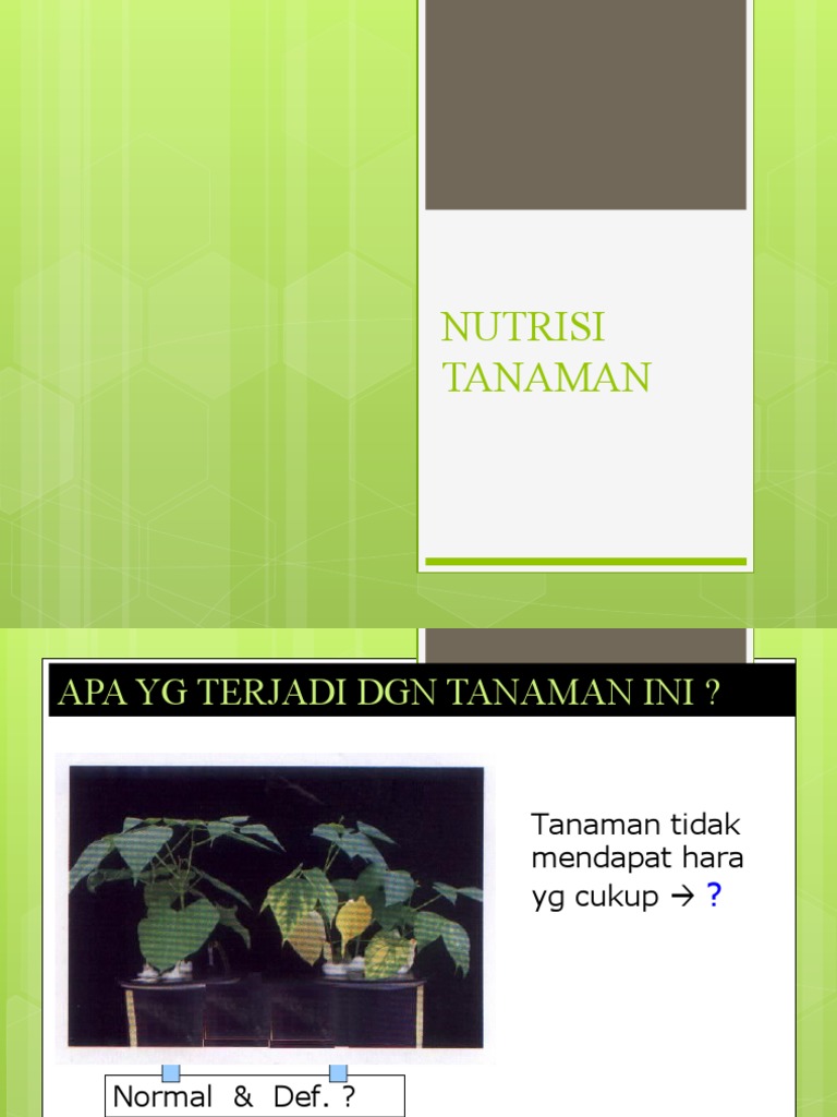 Nutrisi Tanaman Hara Dan Penyerapan Pdf