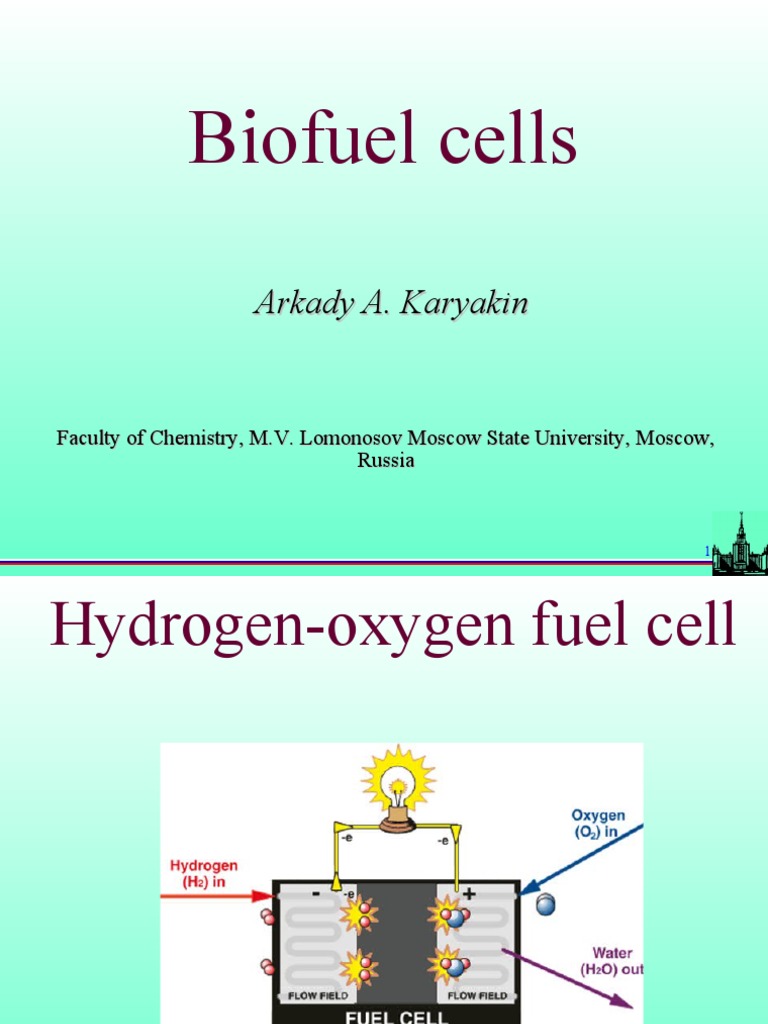 Biofuel Lecture PDF Fuel Cell Chemical Substances