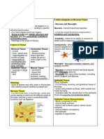 Body Tissues