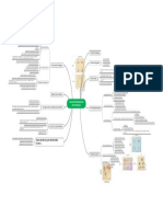 Value-Destroying Diversification Drivers: Corporate Strategy and Diversification