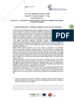 Ficha Formativa Nº2