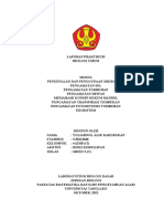 Laporan Lengkap Praktikum Biologi_Ibnu Chairulsyah Malotes_G70121010