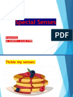 7 Special Senses