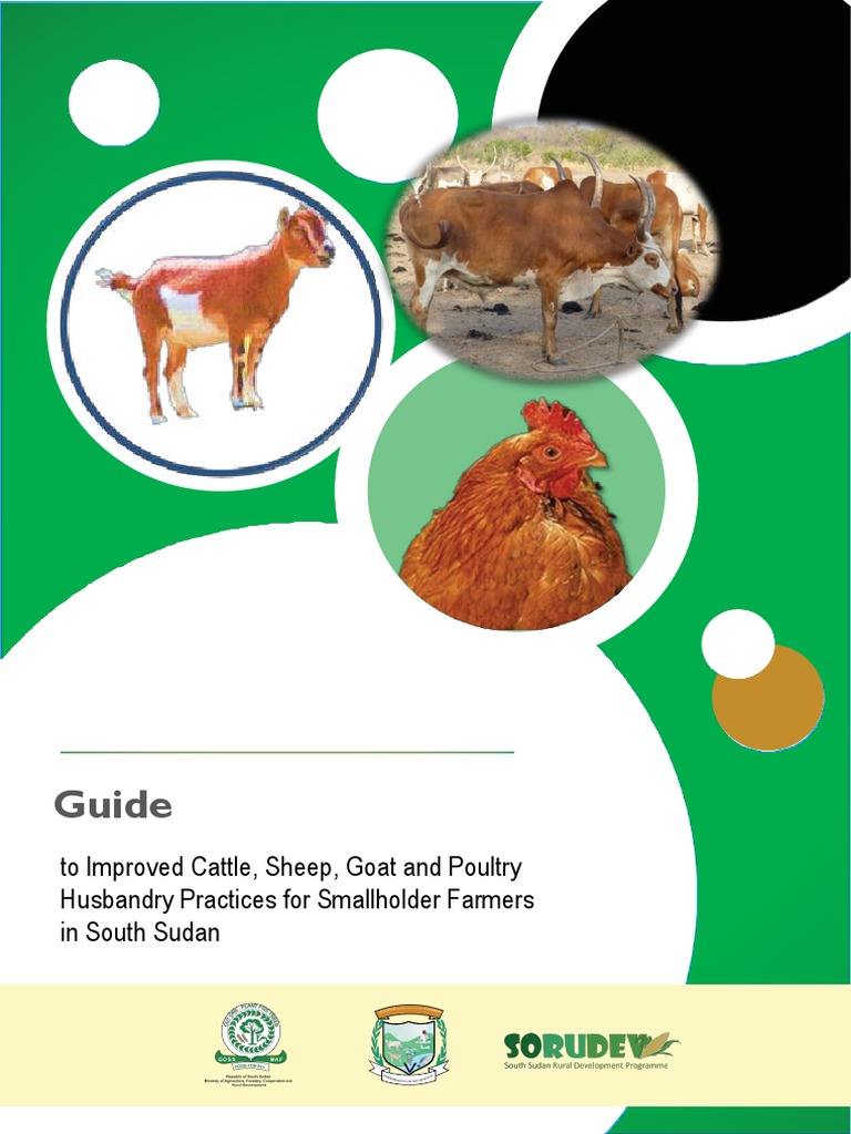 Livestock visual data 8
