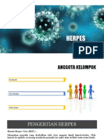 Herpes: Penyebab, Gejala, Diagnosis dan Pengobatan