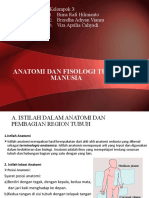 Anatomi Dan Fisologi Tubuh Manusia