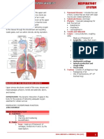 Ms Lec 2 Respiratory System