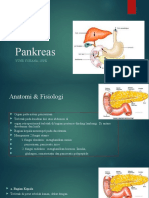 PANKREAS FUNGSI