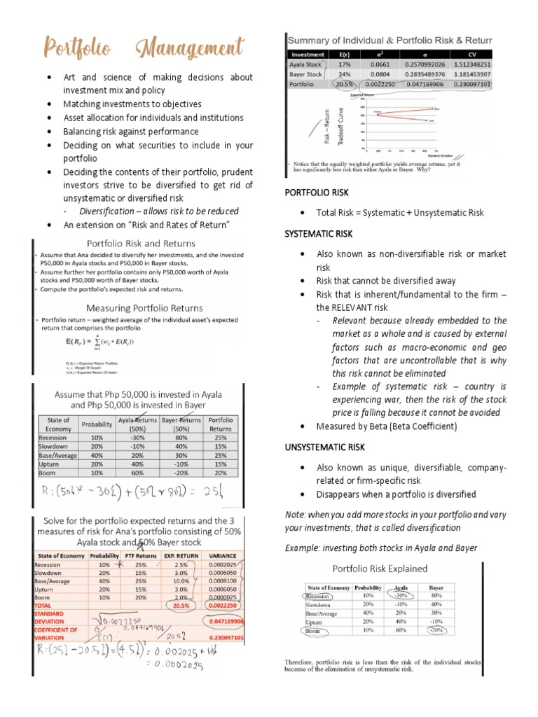 Portfolio Management | PDF | Capital Asset Pricing Model
