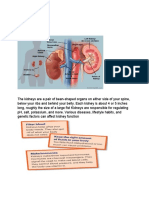 Kidney Disorder