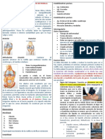 Lesiones Traumaticas de Rodilla