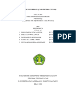 1C - Kel 4 - Makalah Kanker Usus Besar (Carcinoma Colon)