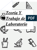 Teoría Y Trabajo de Laboratorio