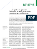 Glial Cell Dependent Synaptic Pruning and Neurodevelopmental Disorders