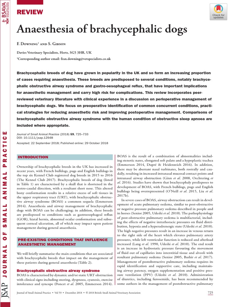 Anaesthesia of Brachycephalic Dogs | PDF | Anesthesia | Physiology - Benadryl For Seizures In Brachycephalic Breeds